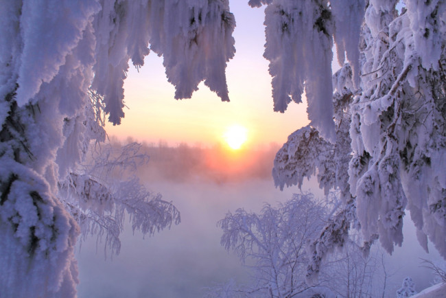 Обои картинки фото природа, зима, солнце, снег