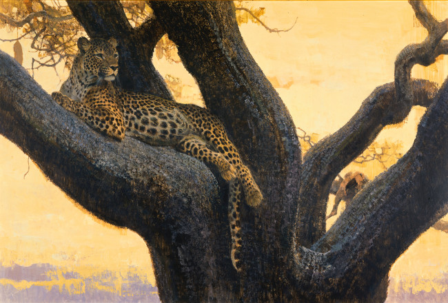Обои картинки фото рисованные, bob kuhn, дикая, кошка, леопард, bob, kuhn, пятна, хищник, дерево, ветка, отдых