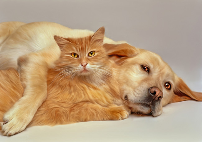 Обои картинки фото рисованные, животные, кошка, собака