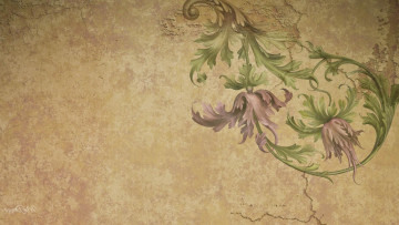 Картинка разное текстуры цветы рисунок стена