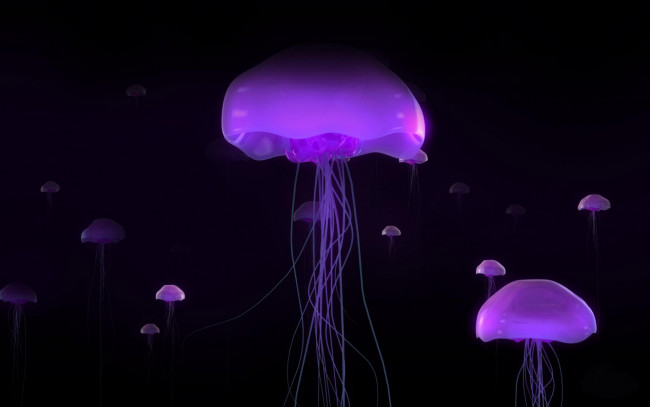 Обои картинки фото 3д графика, животные , animals, черный, фон, свечение, медузы
