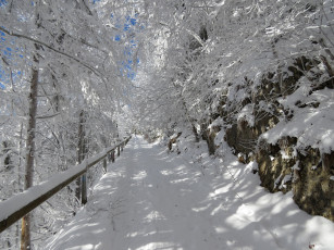 Картинка природа дороги снег деревья дорога