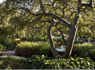 Картинка природа парк забор фонтан сад деревья кусты дорожка