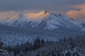 Картинка природа пейзажи горы лес снег