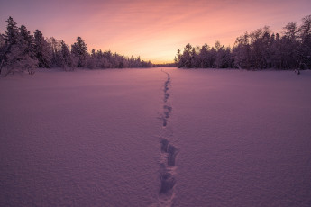 Картинка природа восходы закаты закат снег зима след