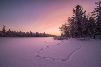 Картинка природа зима закат снег поле