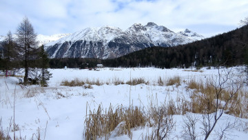 Картинка природа пейзажи снег лес горы