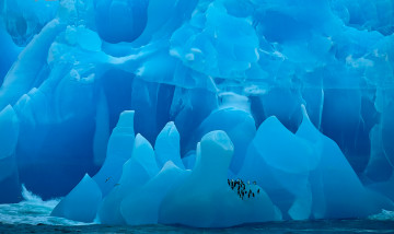 Картинка greenland природа айсберги+и+ледники вода лёд снег ледник гренландия айсберг