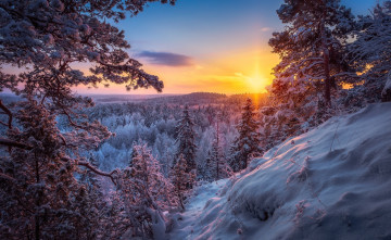 Картинка природа пейзажи зима лес снег солнце