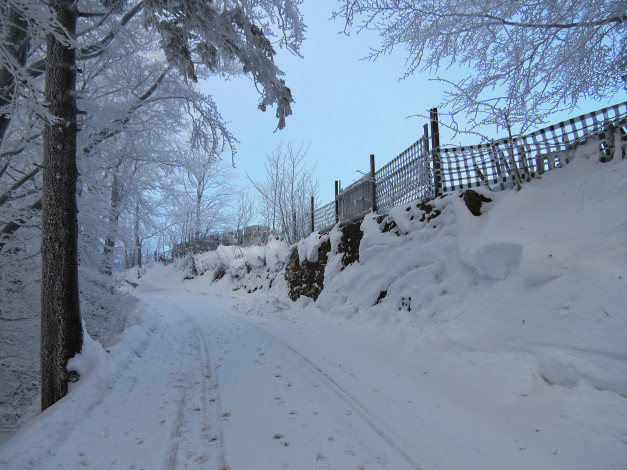 Обои картинки фото природа, дороги, снег, деревья, дорога