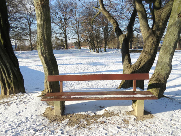 Обои картинки фото природа, парк, снег, деревья, скамейка