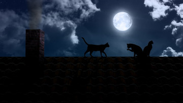 обоя 3д графика, животные , animals, ночь, луна, кот, кошка, полнолуние, труба, крыша, небо