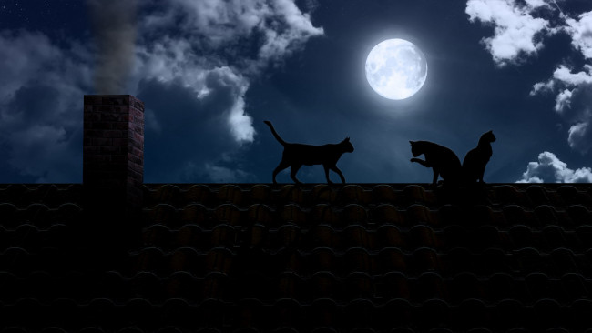 Обои картинки фото 3д графика, животные , animals, ночь, луна, кот, кошка, полнолуние, труба, крыша, небо