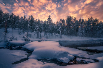 Картинка природа зима лес снег деревья река норвегия сугробы norway рингерике