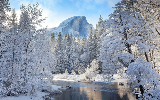 Обои картинки фото природа, зима, лес, иней, река