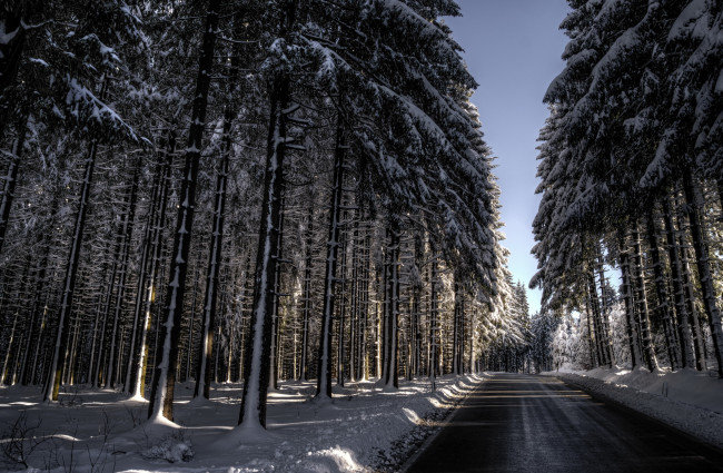 Обои картинки фото природа, дороги, снег, дорога, деревья