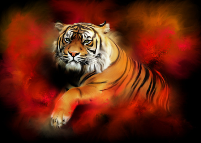 Обои картинки фото рисованное, животные,  тигры, фон, тигр, взгляд