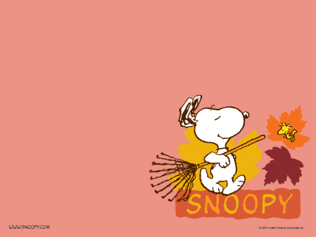 Обои картинки фото мультфильмы, snoopy