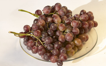 обоя еда, виноград