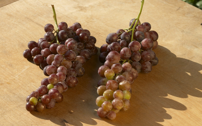 Обои картинки фото еда, виноград