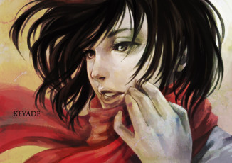 Картинка аниме shingeki+no+kyojin лицо шарф арт брюнетка девушка