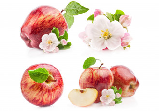 Картинка еда Яблоки листья яблони фон цветы дольки яблоки