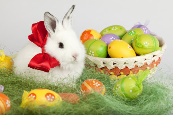 Картинка праздничные пасха травка фон зайка праздник яйца корзинка