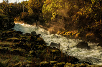 Картинка природа реки озера стремнина камни река лес