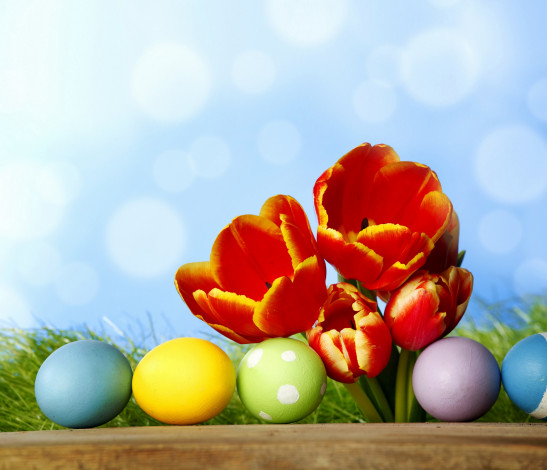 Обои картинки фото праздничные, пасха, цветы, яйца, праздник, фон, трава, тюльпаны