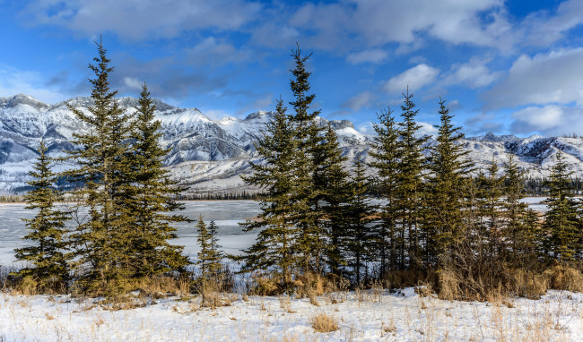 Обои картинки фото природа, зима, горы, река, снег, трава, деревья