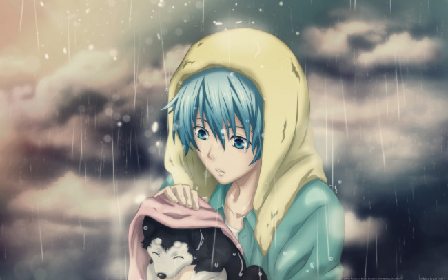 Обои картинки фото аниме, kuroko no baske, дождь, щенок, парень, tetsuya kuroko