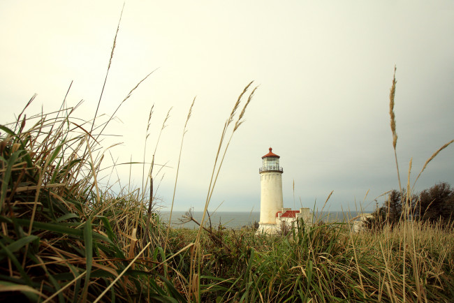 Обои картинки фото природа, маяки, трава, маяк, луг, побережье, океан