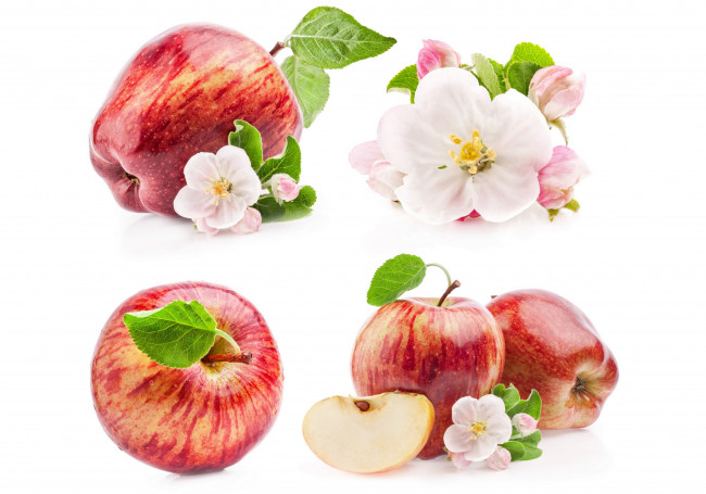 Обои картинки фото еда, Яблоки, листья, яблони, фон, цветы, дольки, яблоки