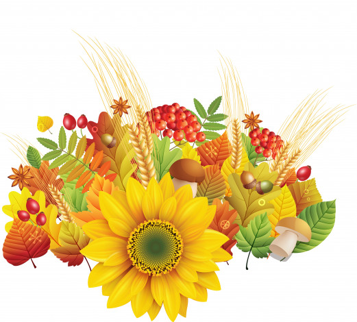 Обои картинки фото векторная графика, цветы, шиповник, листья, колосья, осень, желуди, грибы, подсолнух, рябина
