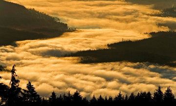 Картинка природа восходы закаты облака туман канада рассвет утро силуэты горы деревья