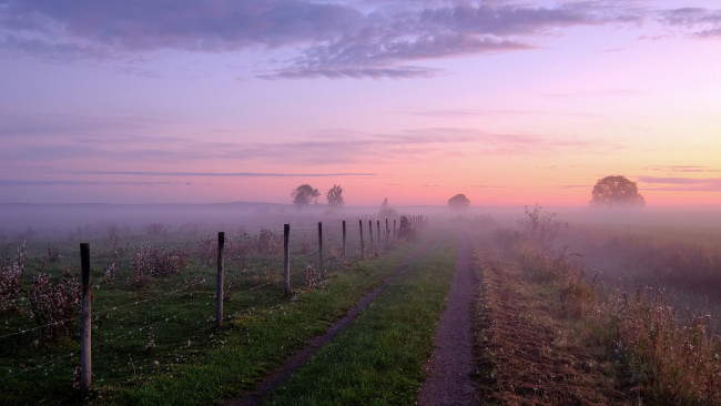 Обои картинки фото природа, дороги, поле, дымка, ограда, тропинка, облака, небо, рассвет, восход, швеция, деревья, туман, утро