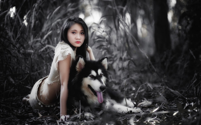 Обои картинки фото девушки, -unsort , азиатки, собака, девушка, фон