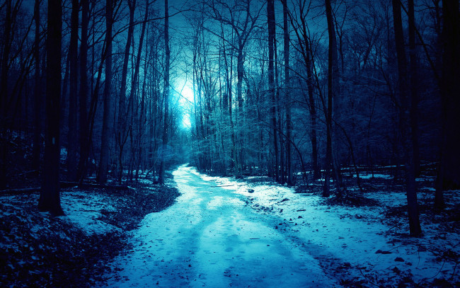 Обои картинки фото природа, дороги, лес, весна, ночь, туман, снег, дорога