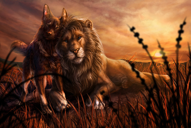 Обои картинки фото рисованное, животные, лев, собака, фон, дружба, взгляд