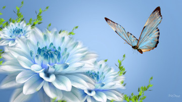 обоя разное, компьютерный дизайн, цветы, бабочка