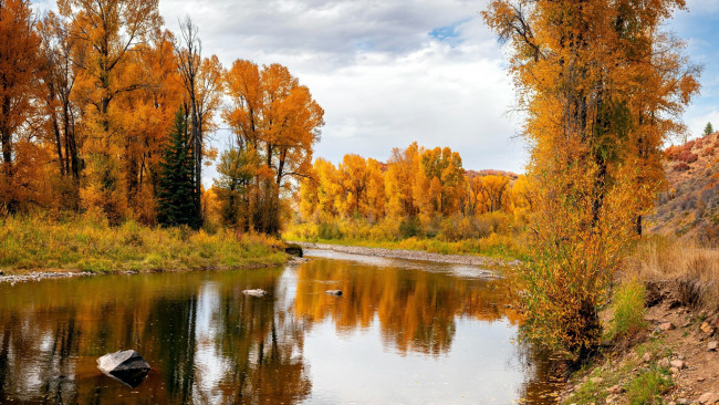 Обои картинки фото elk river, clark, colorado, природа, реки, озера, elk, river