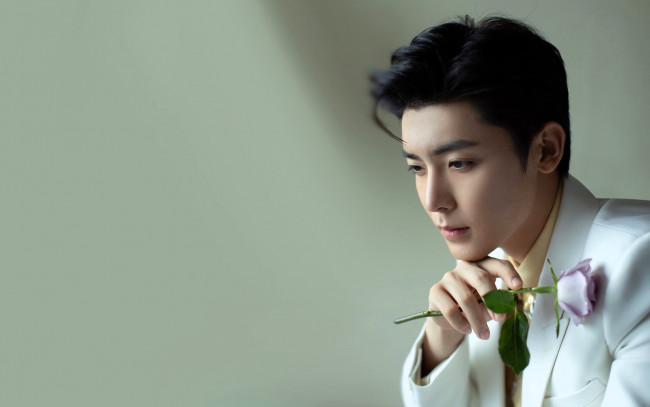 Обои картинки фото мужчины, hou ming hao, актер, пиджак, роза
