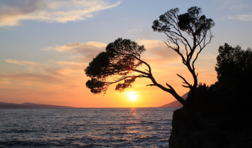 Картинка природа восходы закаты море деревья закат