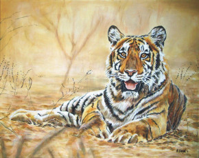 обоя andy, lloyd, indian, tiger, рисованные, тигр
