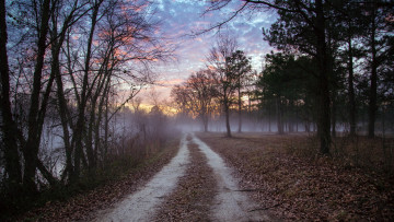 обоя природа, дороги, дорога, туман, опушка, лес