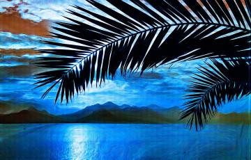Картинка живопись рисованные природа фон ветка пальмы