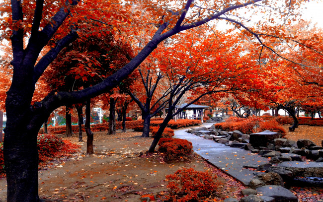 Обои картинки фото природа, парк, аллея, беседка, осень, красная, листва, деревья
