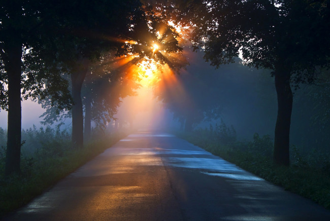 Обои картинки фото природа, дороги, лучи, солнце, дорога, туман, лес