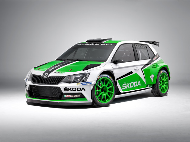 Обои картинки фото автомобили, skoda, 2015г, nj, r5, fabia