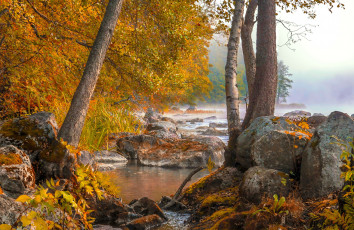 Картинка природа реки озера туман утро озеро осень лес